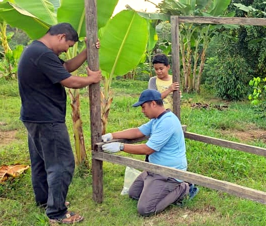 GURU MANFAAT PKPB DENGAN BERKEBUN