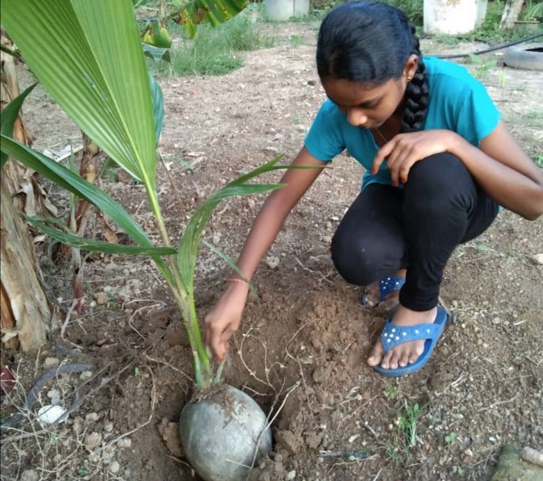 KEMPEN TANAM POKOK BERJAYA