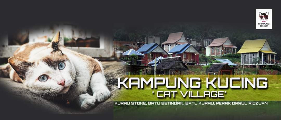 KAMPUNG KUCING BATU KURAU TEMPATKAN KUCING JALANAN & KACUKAN