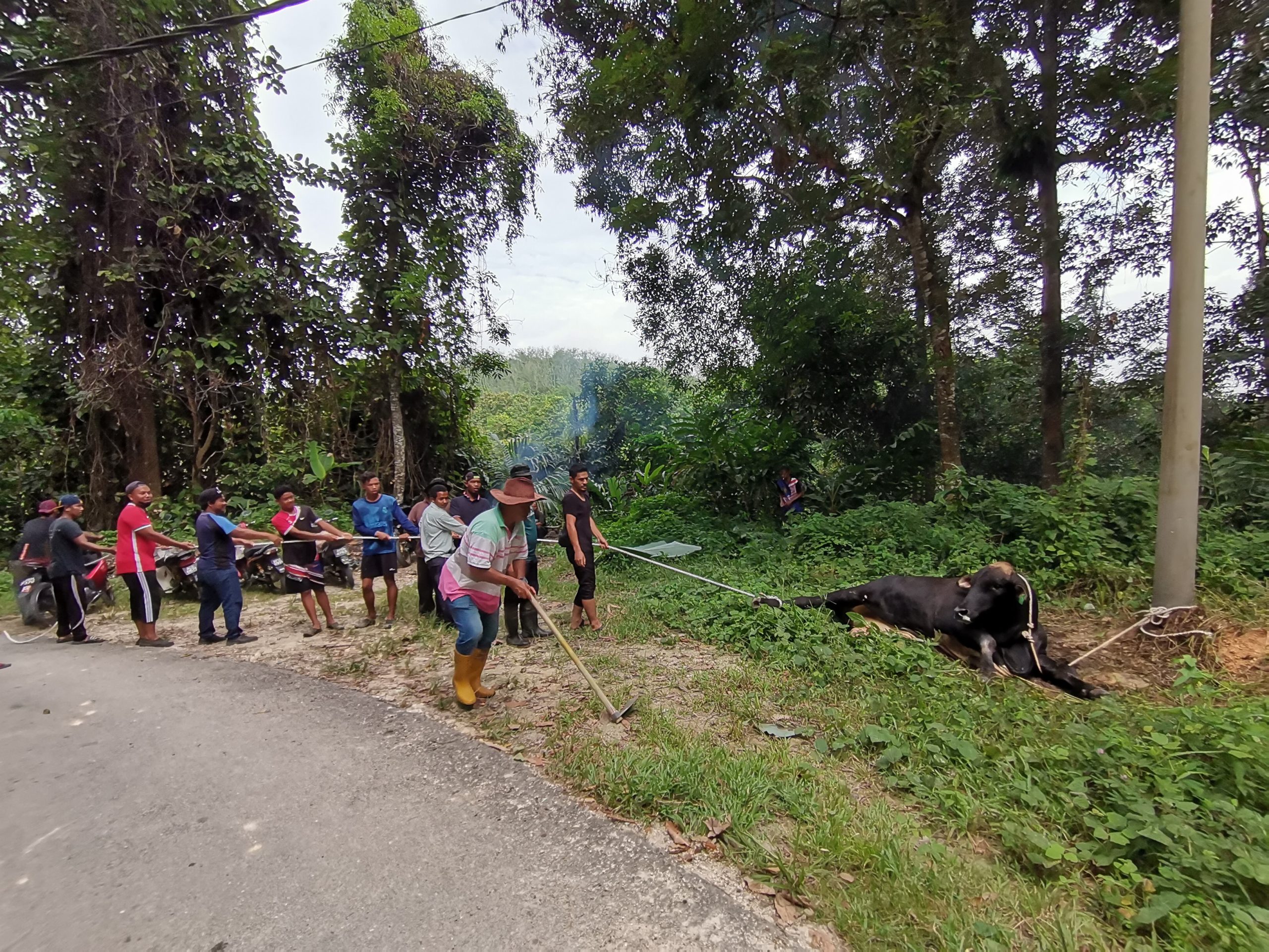 Penduduk Kampung Orang Asli Chadak teruja dapat tunai ibadah korban