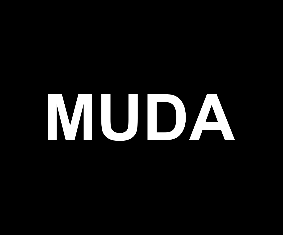 PRN: MUDA bertanding 'solo' dalam PRN di semua enam negeri