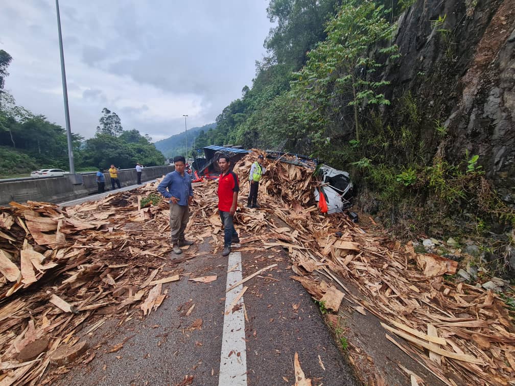 Lori muatan kayu terbabas, pemandu dan kelindan cedera