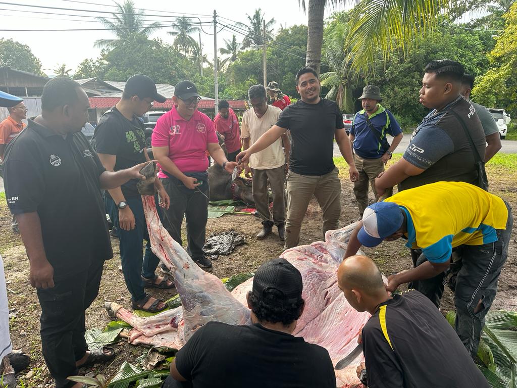 UMNO Bahagian Tambun tumbang 3 ekor lembu