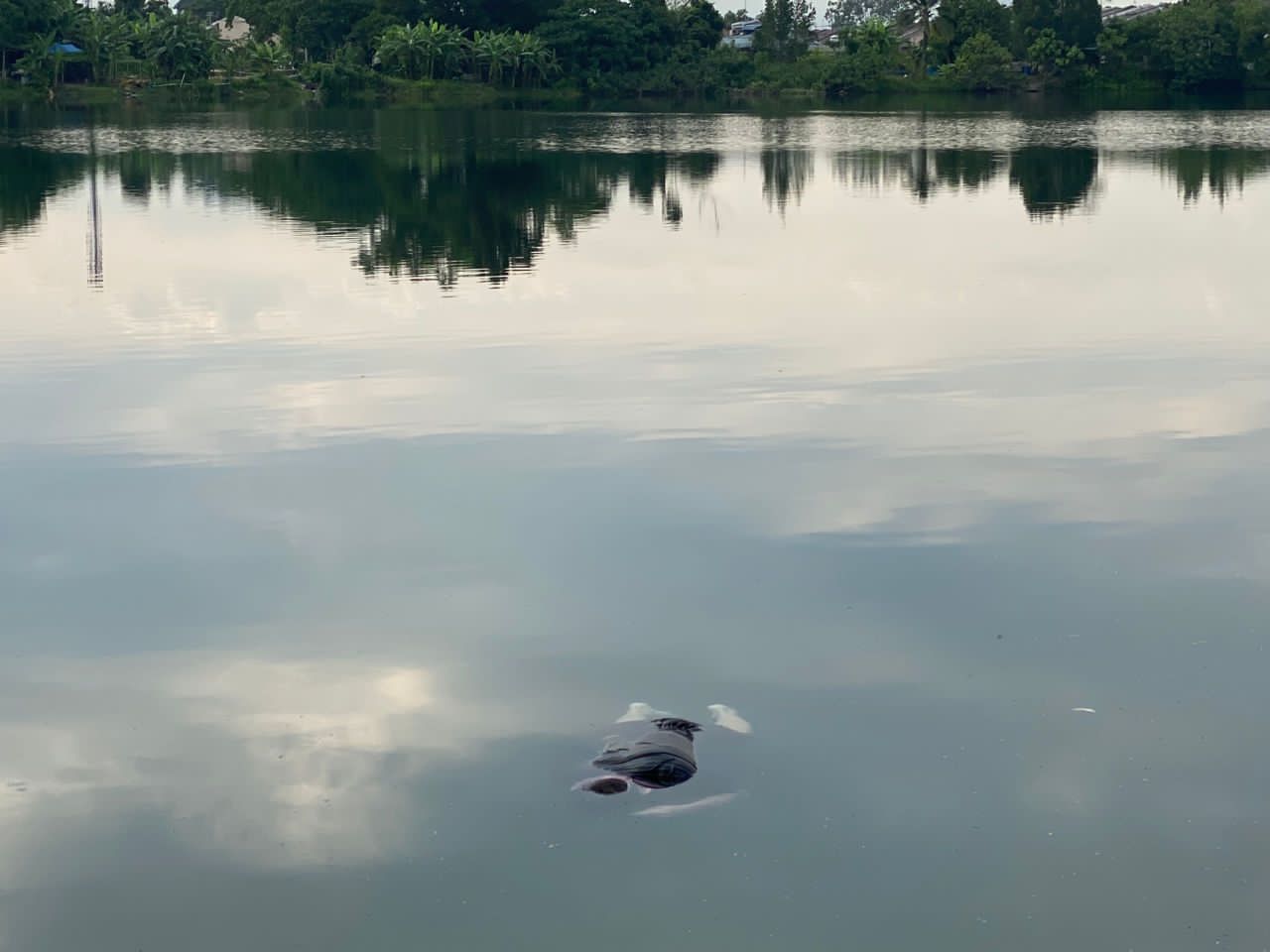 Mayat lelaki disyaki pesakit mental ditemui terapung di lombong