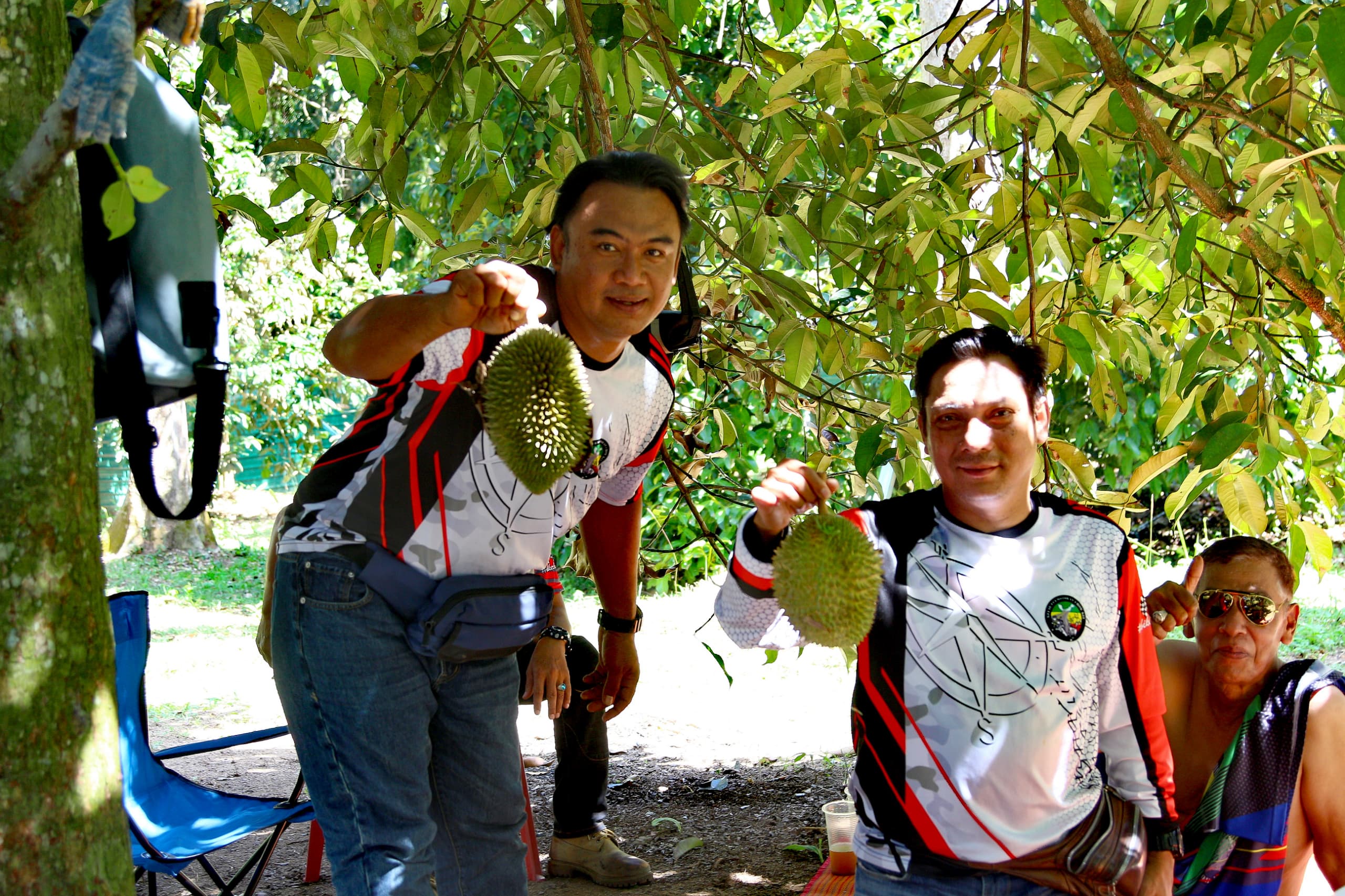 DUSUN AZURIN TAWAR PAKEJ MAKAN DURIAN SAMPAI KENYANG DALAM KEBUN SERENDAH RM30