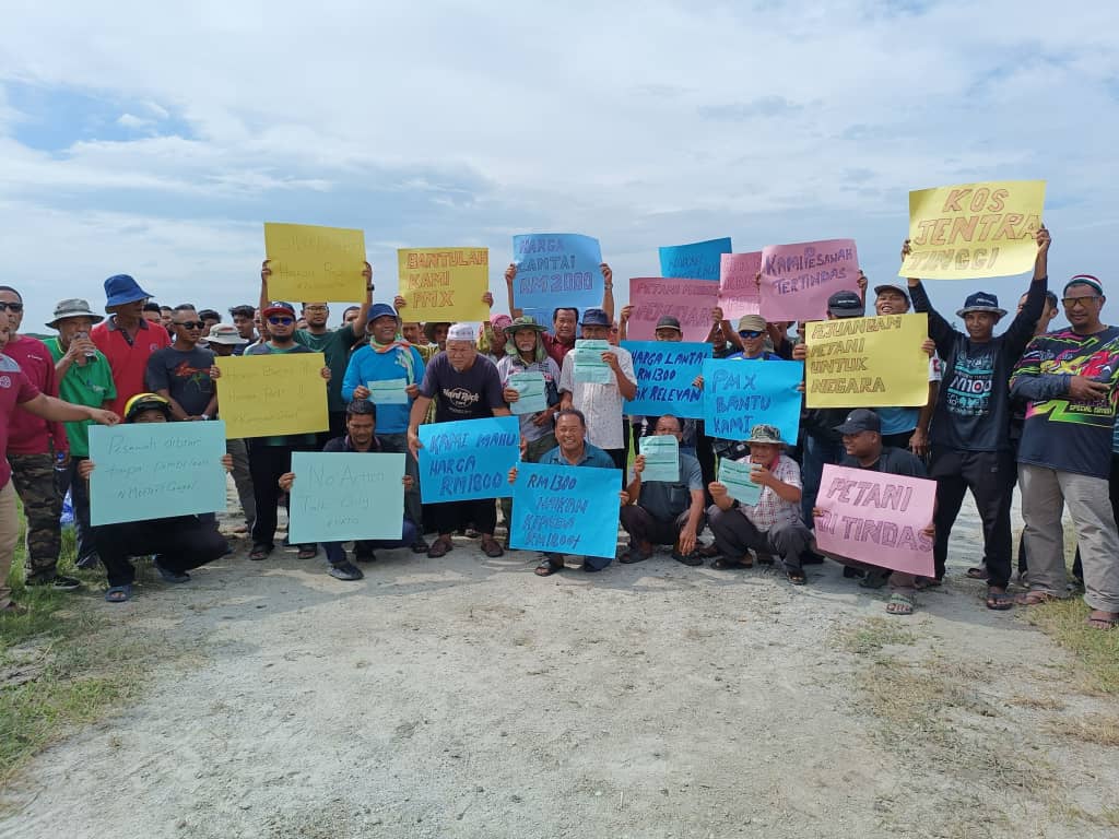Harga belian padi RM1,300 boleh 'bunuh' pesawah